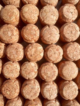 cork wine and champagne collage backgroundの写真素材