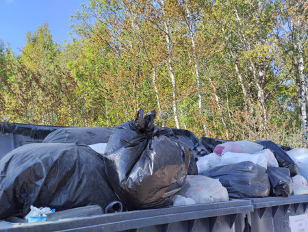 garbage dumpster, household garbage and urban dumpster