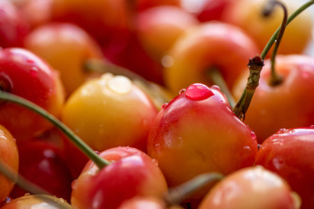 Berries pink cherries with tails closeup, background