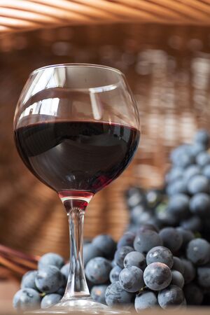 A glass of red wine and bunches of blue grapesの写真素材