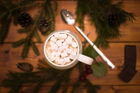 Cacao drink in a white cup with marshmallow on the background of bokeh lights, Hot Christmas drinkの写真素材
