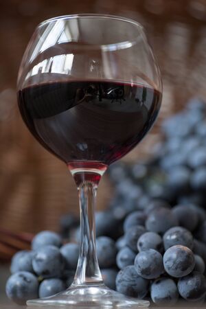 A glass of red wine and bunches of blue grapesの写真素材