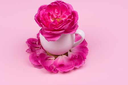 Cup of coffee in rose petals on a pink background, top viewの写真素材