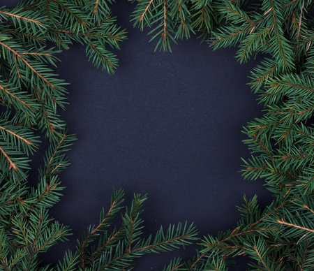 square composition frame of fir branches on black background Christmas background.