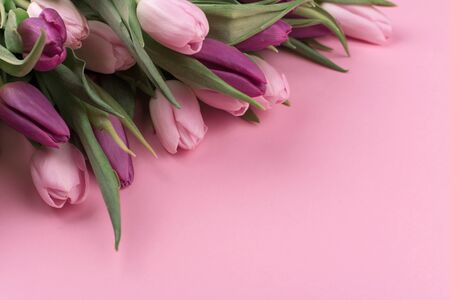 a bouquet of fresh fragrant pink and purple tulips and a gift for women's day on a pink background. Mother's day greetings. copy spaceの写真素材