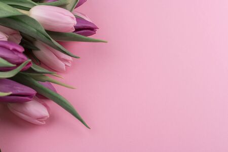 a bouquet of fresh fragrant pink and purple tulips and a gift for women's day on a pink background. Mother's day greetings. copy spaceの写真素材