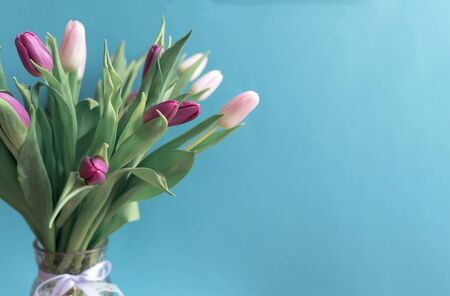 bouquet of pink and purple tulips on blue background, spring flowers for women, copy spaceの写真素材