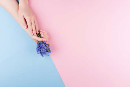 Beautiful delicate womens hands with a stylish pink manicure on a pink and blue background with a flower in handの写真素材