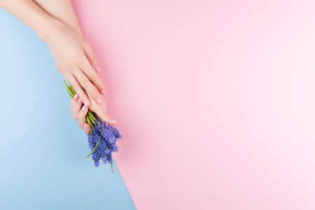 Beautiful delicate womens hands with a stylish pink manicure on a pink and blue background with a flower in handの写真素材