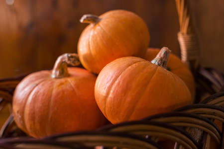 Autumn small orange pumpkin on a wooden table, the harvest, the symbol of Halloween.の写真素材