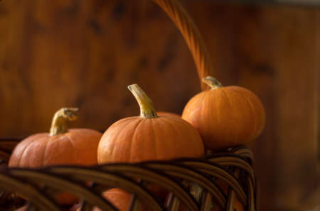 Autumn small orange pumpkin on a wooden table, the harvest, the symbol of Halloween.の写真素材