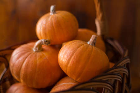 Autumn small orange pumpkin on a wooden table, the harvest, the symbol of Halloween.の写真素材