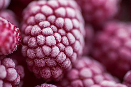 Ripe frozen raspberries close-up macro photography, selective focus, fruit background.の写真素材