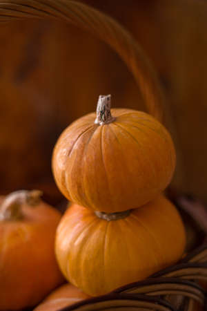 Autumn small orange pumpkin on a wooden table, the harvest, the symbol of Halloween.の写真素材