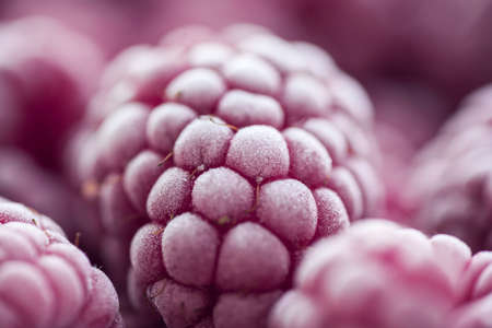 Ripe frozen raspberries close-up macro photography, selective focus, fruit backgroundの写真素材