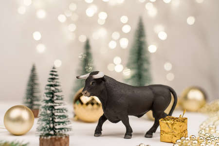 decorative bull, symbol of the New Year on the background of Christmas trees and Golden bokeh.の写真素材