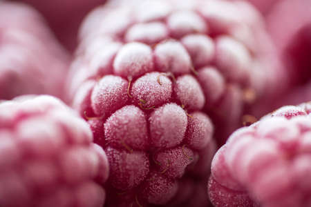 Ripe frozen raspberries close-up macro photography, selective focus, fruit background.の写真素材