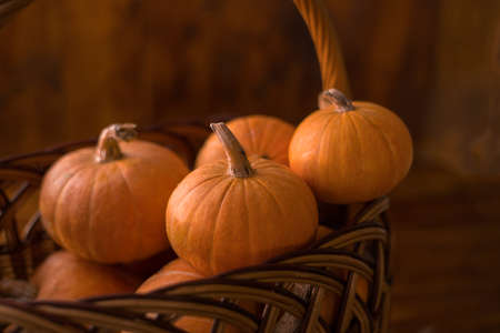 Autumn small orange pumpkin on a wooden table, the harvest, the symbol of Halloween.の写真素材