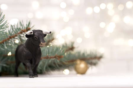 Decorative bull, symbol of the New Year on the background of Christmas trees and blue bokeh.の写真素材