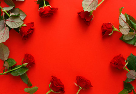 Red roses frame on a red background, copyspaseの写真素材
