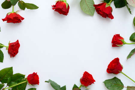 Red roses frame on a white background, copyspaseの写真素材