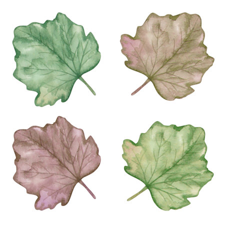 Watercolor illustration. Hand painted green leaf. Grape leaf. Pumpkin leaf. Summer vegetation. Spring nature. Greenery. Grass on lawn, meadow. Isolated clip art for prints, textile patterns, bannersの写真素材