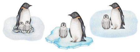 Watercolor set of illustrations. Hand painted penguin family with baby penguins, nestlings in stone nest on snow, block of ice. Flightless marine bird. South Pole. Emperor Penguin. Isolated clip artの写真素材