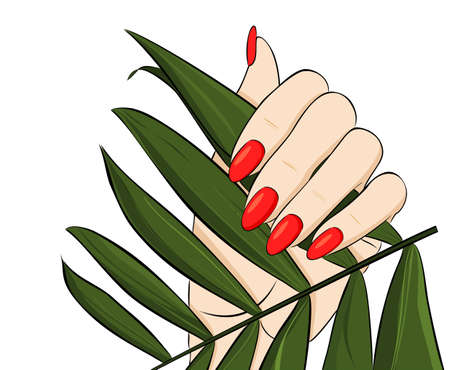 Bright manicure on the background of a green palm tree. Vector illustrationのイラスト素材