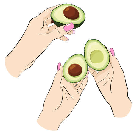 Avocado halves in hands. Female hands with ripe fruit. Sliced, ripe avocadoのイラスト素材