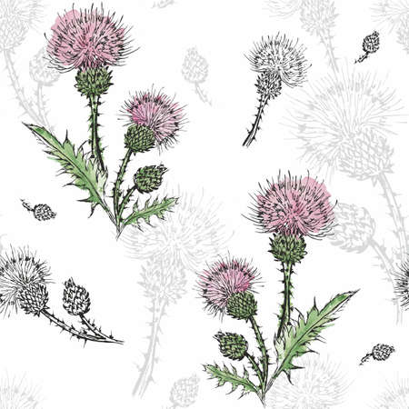 Blooming thistle, seamless pattern.Thistle twigs, bud and leaves in watercolor.のイラスト素材