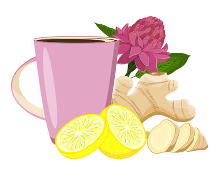 Ginger root and flower, lemon and a mug of hot tea. Healing drink with ginger and lemon. Illustration in vectorのイラスト素材