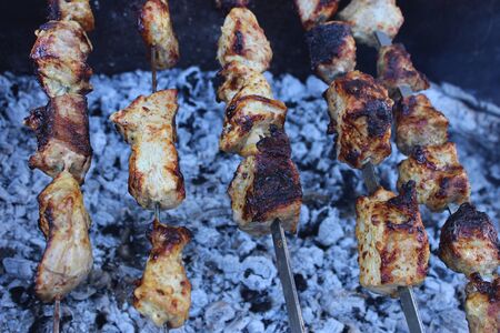 Photo Pork kebab closeup on the grill and coalsの写真素材