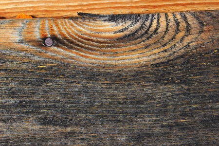 Photo with the image tecture old wood closeupの写真素材