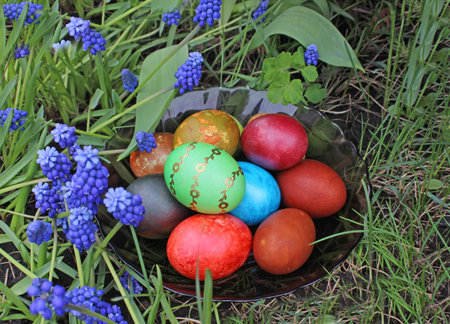 photo on the green grass colored Easter eggs and flowers