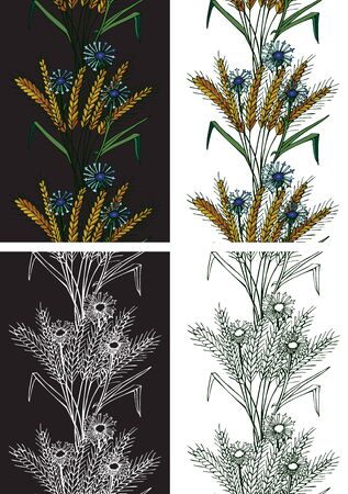 Pattern seamless on black and white background spikelets of corn and flowers of cornflowers blueのイラスト素材