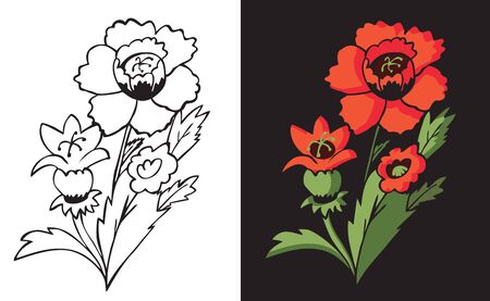 flower red poppy on black and white background illustrationのイラスト素材