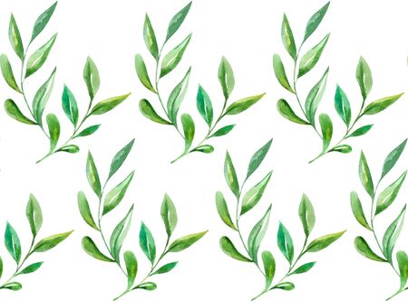 Seamless pattern of watercolor green leavesの写真素材