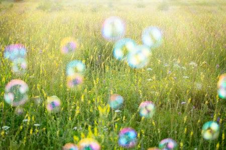 Abstract, blurry soap bubbles in the field at sunset background. Design Elements