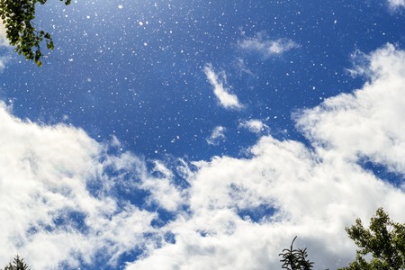 Poplar fluff flies against a bright blue sky, white clouds and tree crowns in the sunlightの写真素材