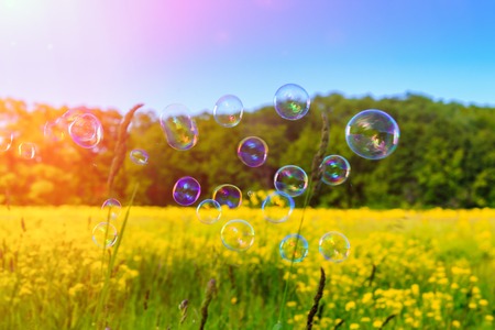 Abstract, blurry soap bubbles in the field at sunset background. Design Elementsの写真素材