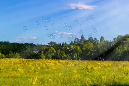 Abstract, blurry soap bubbles in the field. Design Elementsの写真素材