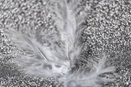 Gentle magical silver background with white feather. Macro photo.の写真素材