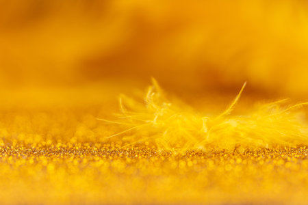Beautiful yellow bird feather on a bright Golden background close-up. Selective focus. Free space. Macro. Abstract background with bokeh. High quality photoの写真素材