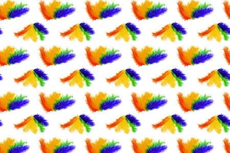 Seamless pattern of lined in rainbow colored bird feathers on a white background. LGBT concept. High quality photoの写真素材