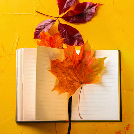 Autumn concept. Open Notepad and autumn leaves on a yellow concrete background. Top view. High quality photoの写真素材