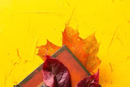 Autumn concept. A book and autumn leaves on a yellow concrete background. Close up. Selective focus....