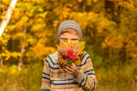 Autumn portrait of a happy boy in the autumn Park. Boy playing with fall foliage. High quality photo