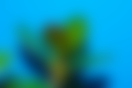 Abstract pastel soft colorful smooth blurred textured background off focus toned. Use as wallpaper or for web designの写真素材
