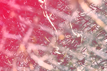 Abstract steel iron texture background in grunge style closeupの写真素材