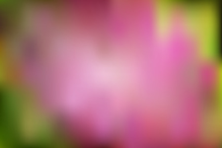 Abstract blurred gradient mesh background in bright and pastel pink colors. Colorful smooth banner template. Easy editable soft colored vector illustration in EPS10 without transparency.のイラスト素材